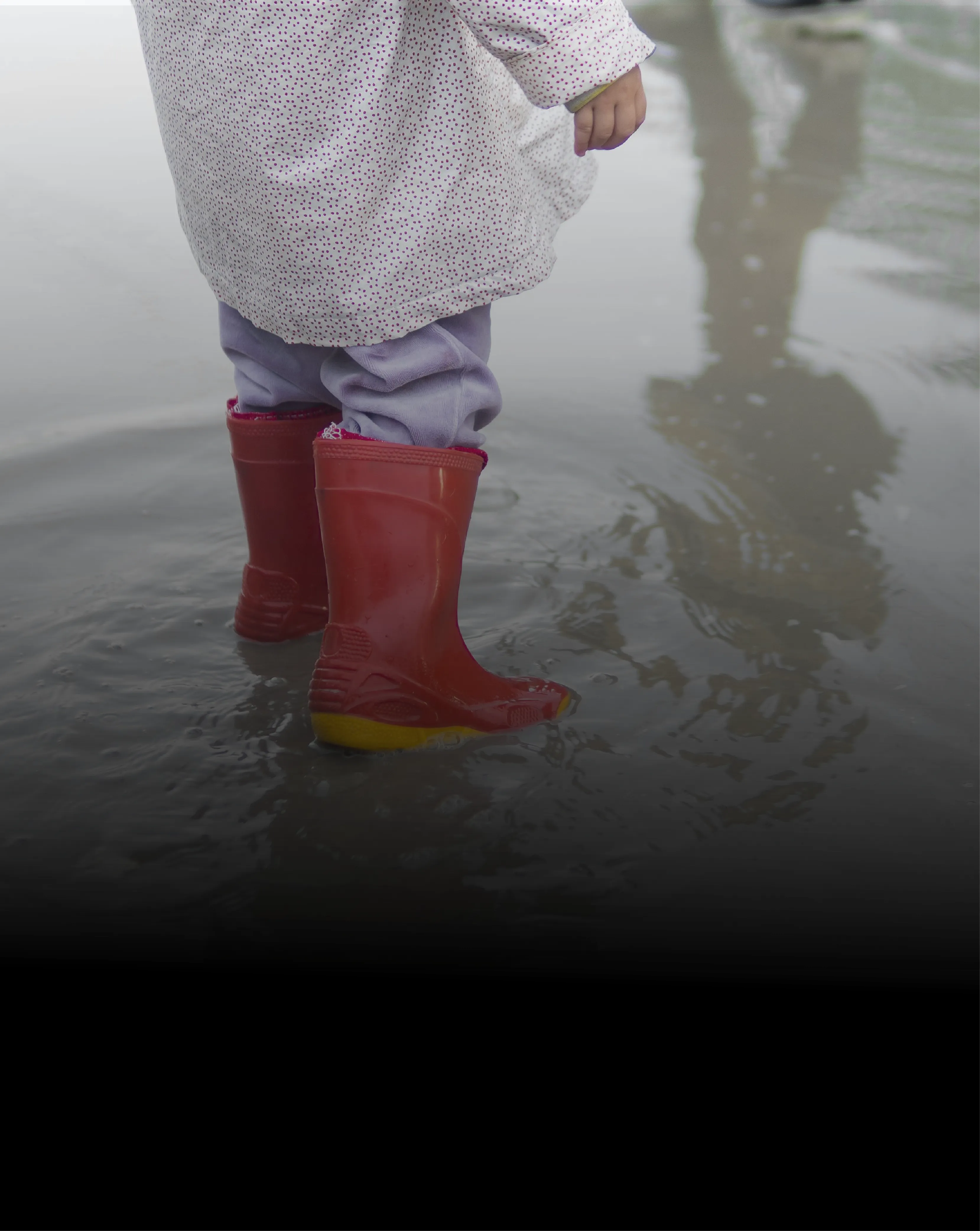 Water & Flood Claims